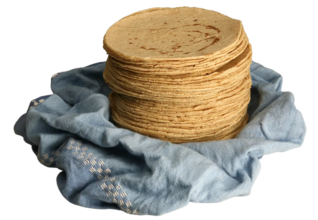 Tortillas de maíz, varias presentaciones